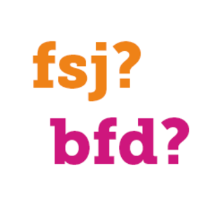 FSJ oder BFD