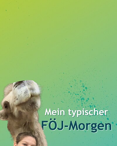 🌿Stall ausmisten, Pferde rausbringen & viel Quality Time mit den Kamelen – so sieht ein realistischer Vormittag im...