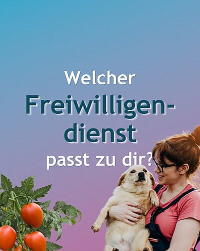 Welche Einrichtung im Freiwilligendienst passt zu dir? 🤔 Keine Sorge — wir...